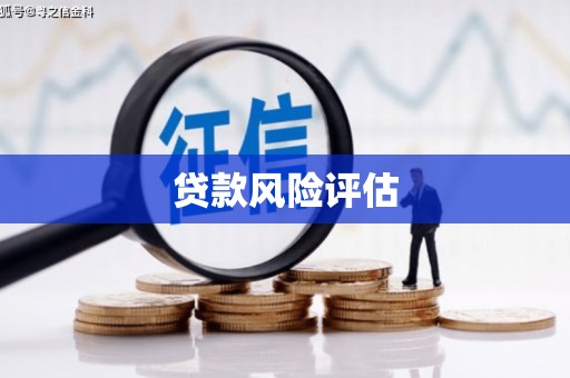 贵德贷款风险评估