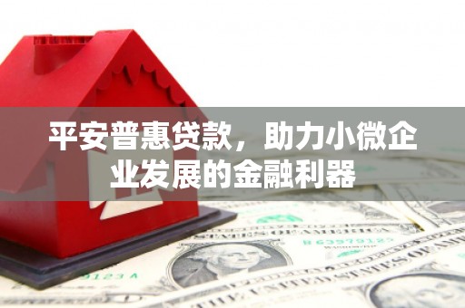 贵德平安普惠贷款，助力小微企业发展的金融利器