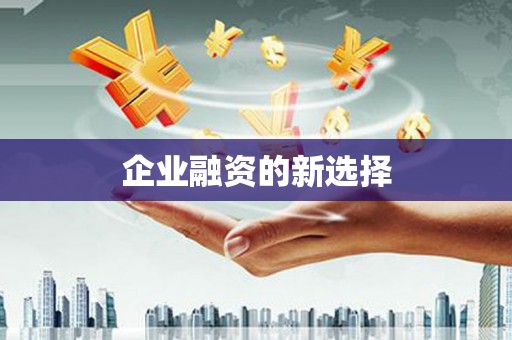 贵德企业融资的新选择