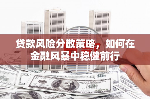 贵德贷款风险分散策略，如何在金融风暴中稳健前行