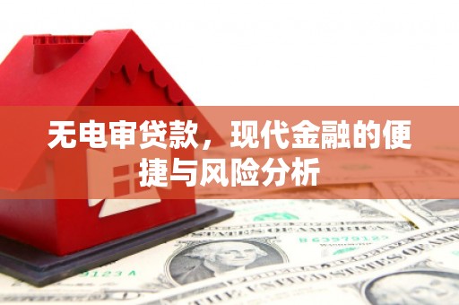 贵德无电审贷款，现代金融的便捷与风险分析
