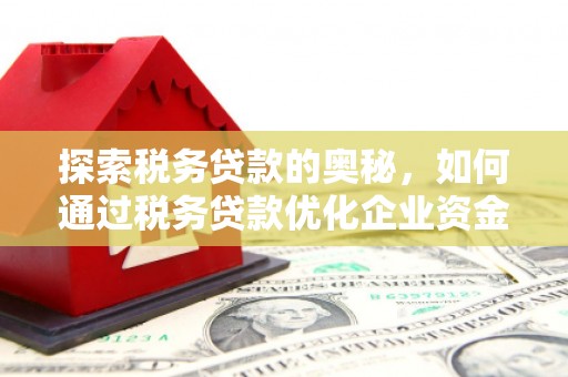 贵德探索税务贷款的奥秘，如何通过税务贷款优化企业资金流