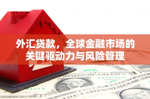 贵德外汇贷款，全球金融市场的关键驱动力与风险管理