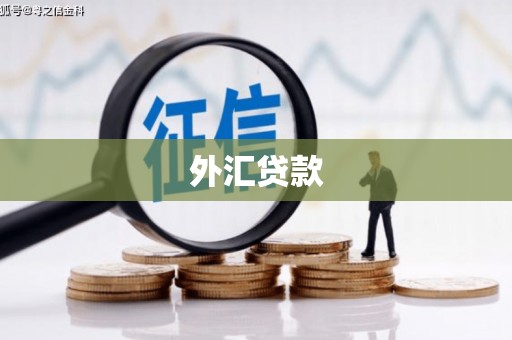 贵德外汇贷款