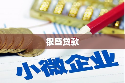 贵德银盛贷款