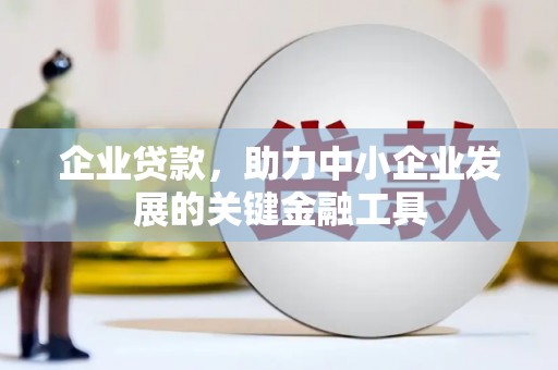 贵德企业贷款，助力中小企业发展的关键金融工具