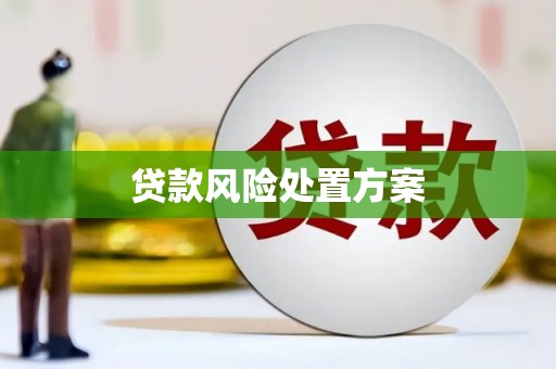 贵德贷款风险处置方案