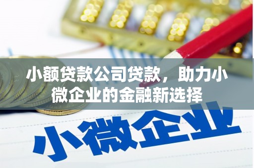 贵德小额贷款公司贷款，助力小微企业的金融新选择