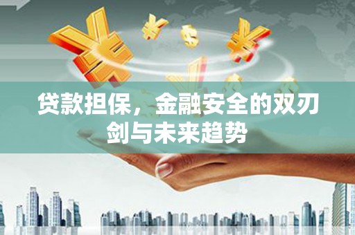 贵德贷款担保，金融安全的双刃剑与未来趋势