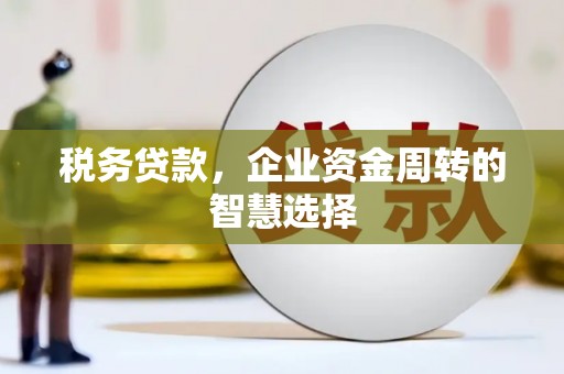 贵德税务贷款，企业资金周转的智慧选择