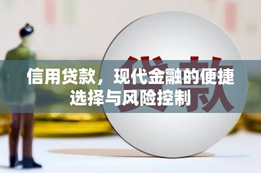 贵德信用贷款，现代金融的便捷选择与风险控制