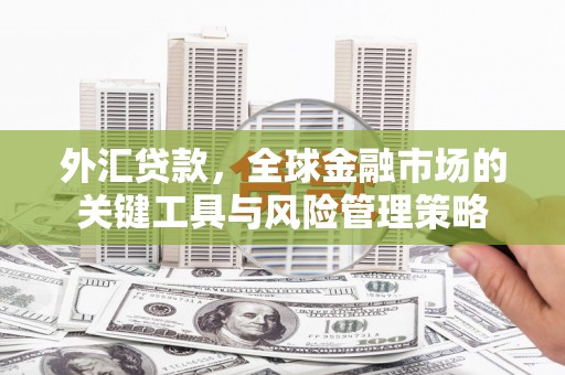贵德外汇贷款，全球金融市场的关键工具与风险管理策略