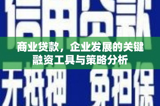 贵德商业贷款，企业发展的关键融资工具与策略分析