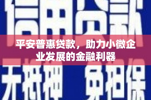 贵德平安普惠贷款，助力小微企业发展的金融利器