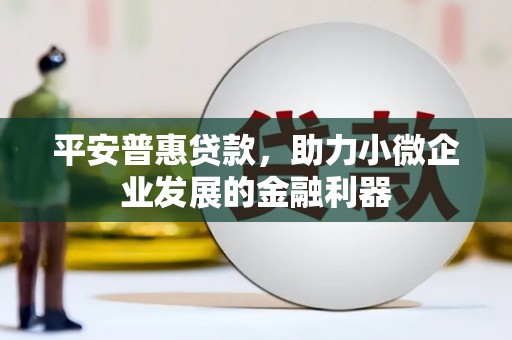 贵德平安普惠贷款，助力小微企业发展的金融利器