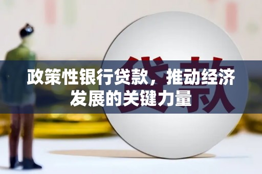 贵德政策性银行贷款，推动经济发展的关键力量