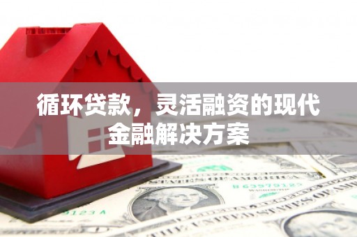 贵德循环贷款，灵活融资的现代金融解决方案