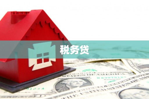 贵德税务贷