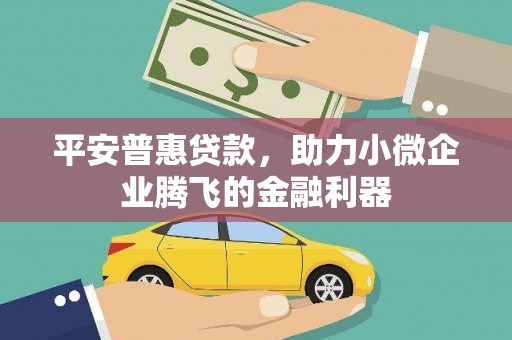 贵德平安普惠贷款，助力小微企业腾飞的金融利器