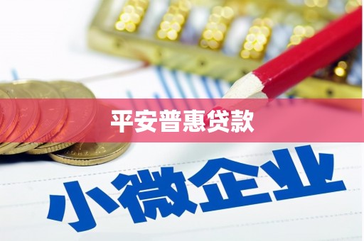 贵德平安普惠贷款