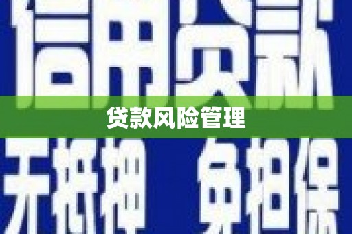 贵德贷款风险管理