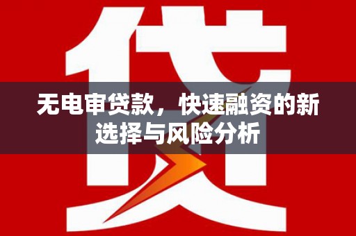 贵德无电审贷款，快速融资的新选择与风险分析
