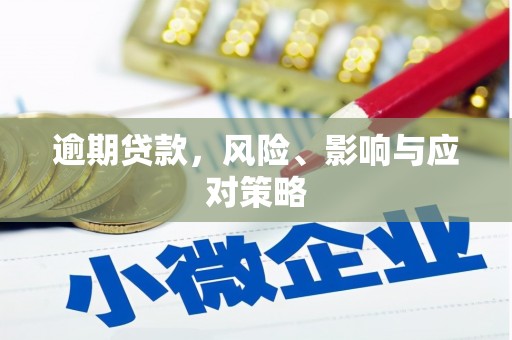 贵德逾期贷款，风险、影响与应对策略