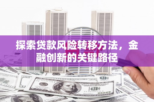 贵德探索贷款风险转移方法，金融创新的关键路径