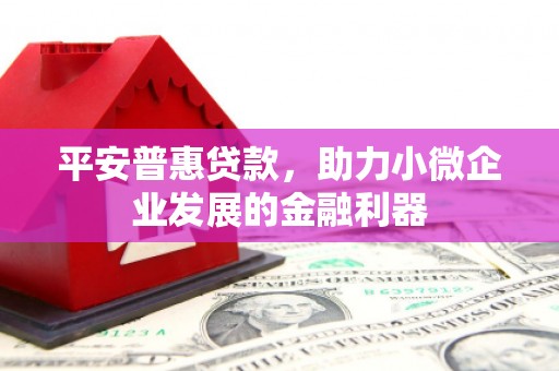 贵德平安普惠贷款，助力小微企业发展的金融利器