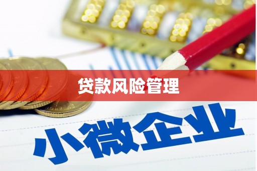 贵德贷款风险管理