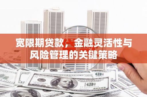 贵德宽限期贷款，金融灵活性与风险管理的关键策略