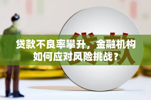 贵德贷款不良率攀升，金融机构如何应对风险挑战？