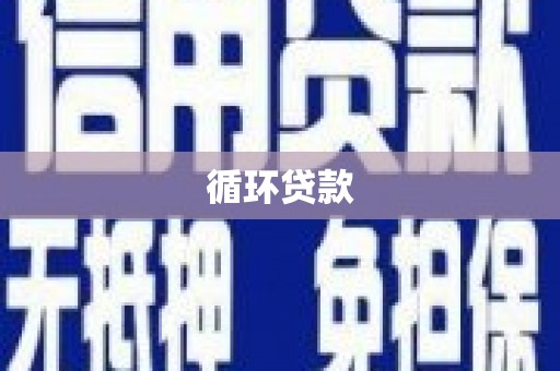 贵德循环贷款