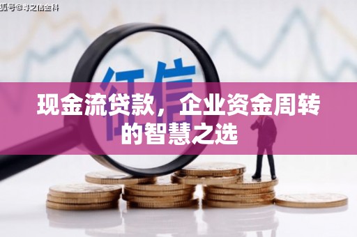 贵德现金流贷款，企业资金周转的智慧之选