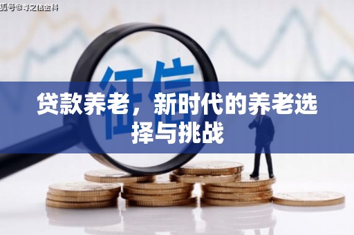 贵德贷款养老，新时代的养老选择与挑战