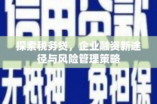 贵德探索税务贷，企业融资新途径与风险管理策略