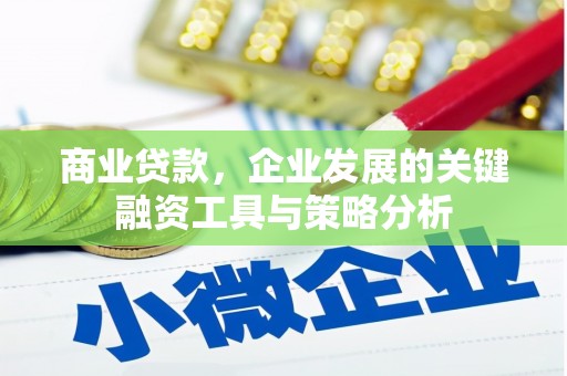 贵德商业贷款，企业发展的关键融资工具与策略分析