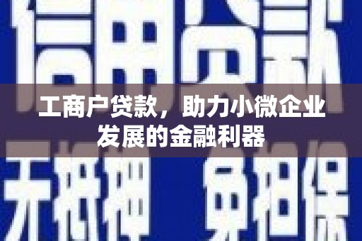 贵德工商户贷款，助力小微企业发展的金融利器