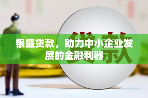 贵德银盛贷款，助力中小企业发展的金融利器