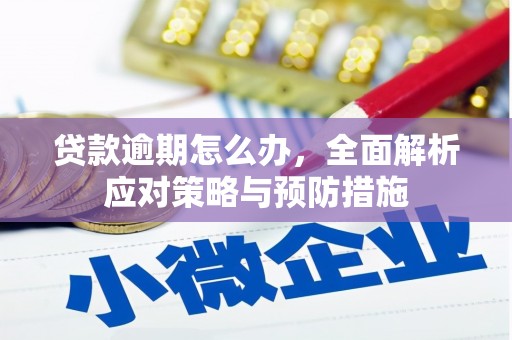 贵德贷款逾期怎么办，全面解析应对策略与预防措施