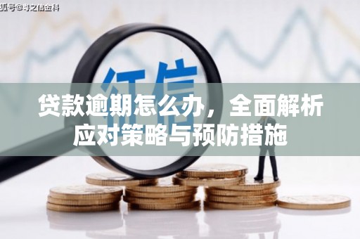 贵德贷款逾期怎么办，全面解析应对策略与预防措施