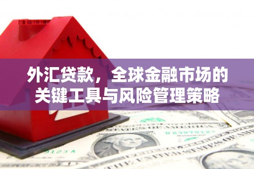 贵德外汇贷款，全球金融市场的关键工具与风险管理策略