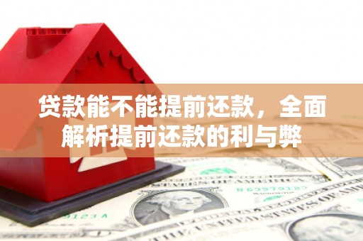 贵德贷款能不能提前还款，全面解析提前还款的利与弊