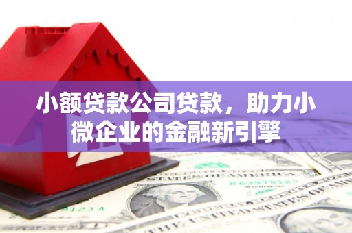 贵德小额贷款公司贷款，助力小微企业的金融新引擎