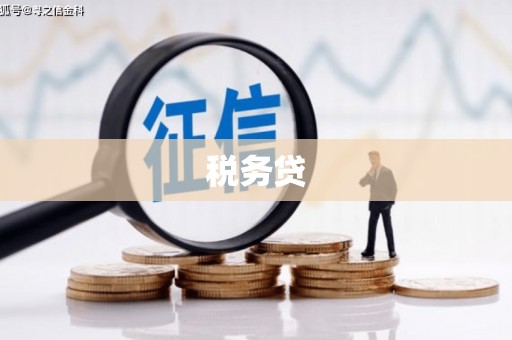 贵德税务贷