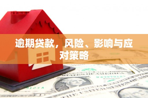 贵德逾期贷款，风险、影响与应对策略
