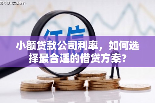 贵德小额贷款公司利率，如何选择最合适的借贷方案？