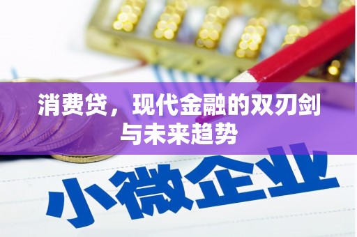 贵德消费贷，现代金融的双刃剑与未来趋势