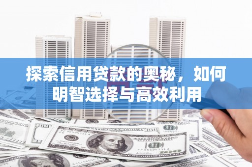 贵德探索信用贷款的奥秘，如何明智选择与高效利用