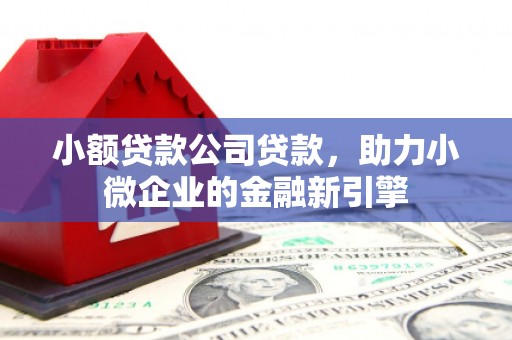 贵德小额贷款公司贷款，助力小微企业的金融新引擎